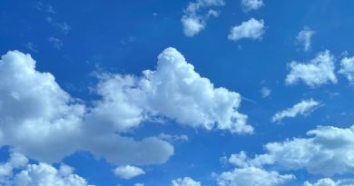 Bluesky's Louvre Account Vanishes – What Happened?